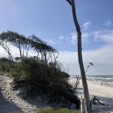 Seaside In Преров